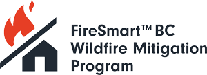 Wildfire Mitigation Program