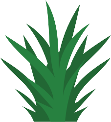 plant image